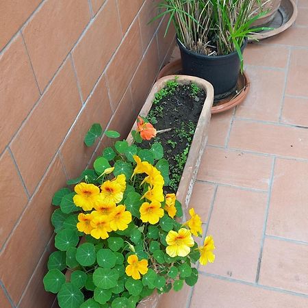 Apartamento Vient E Mare Torre Annunziata Exterior foto