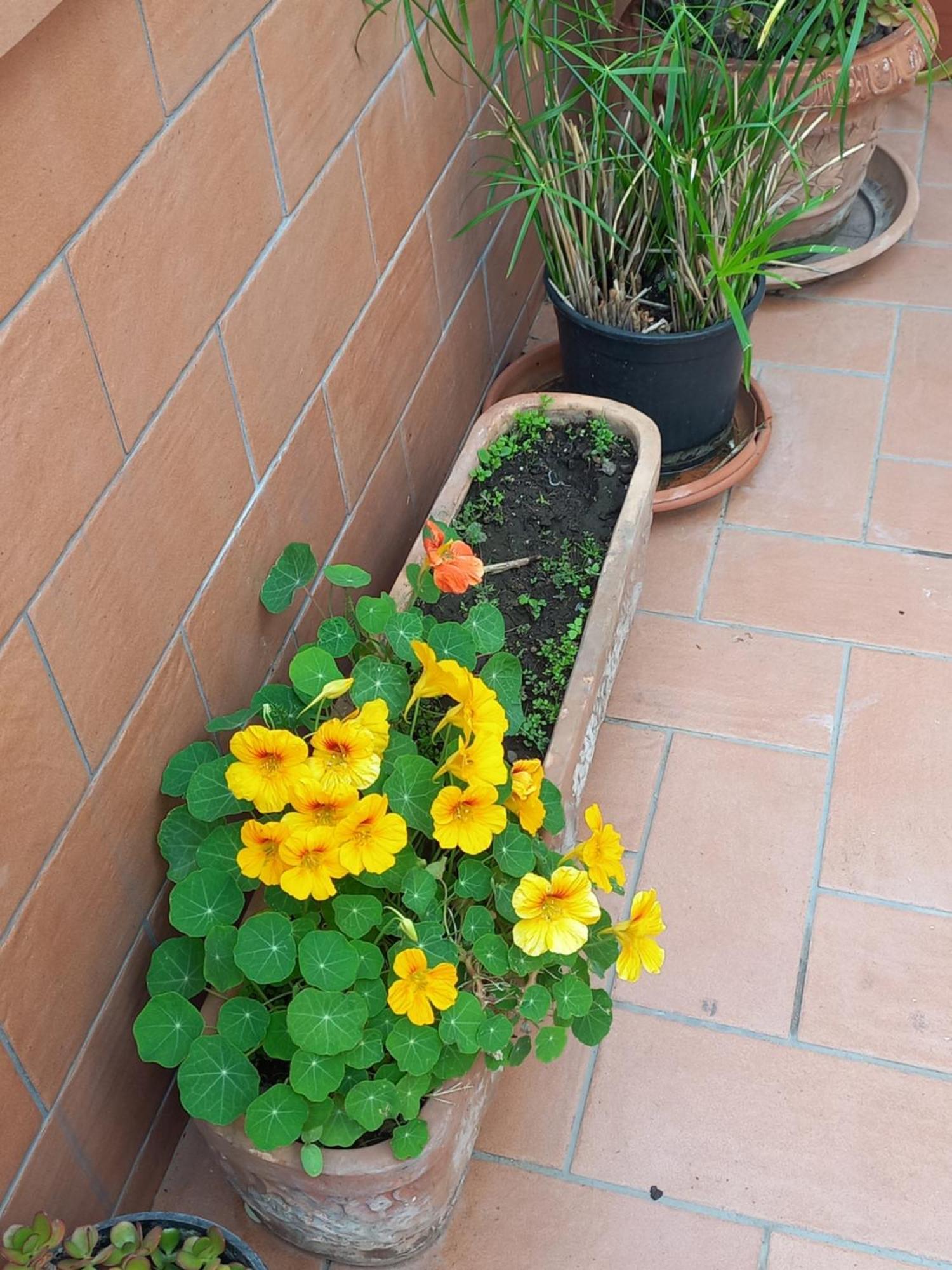 Apartamento Vient E Mare Torre Annunziata Exterior foto